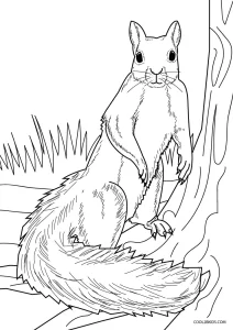 35 Cute Squirrels Coloring Pages Printable 19