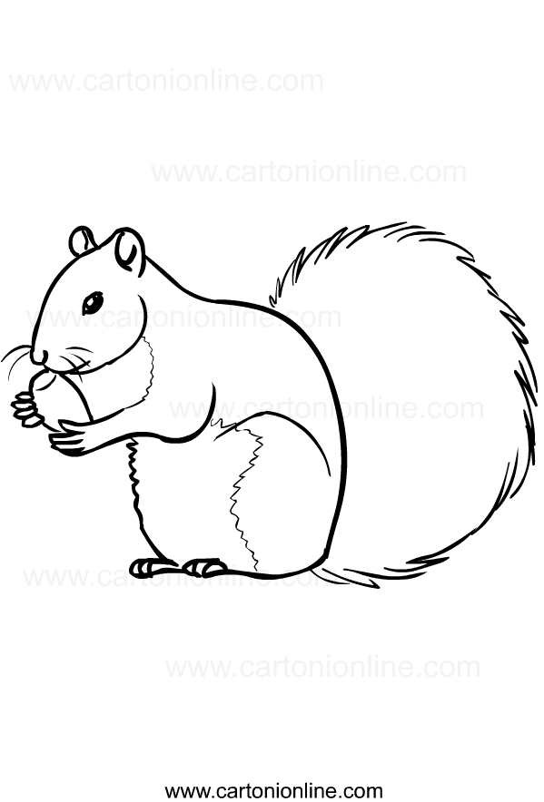 35 Cute Squirrels Coloring Pages Printable 21