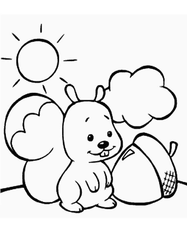 35 Cute Squirrels Coloring Pages Printable 24