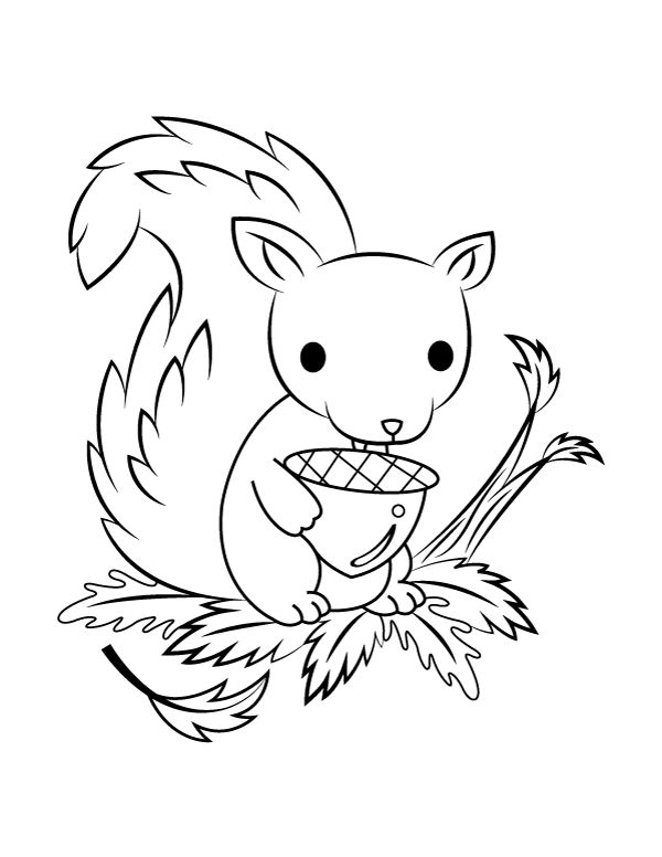 35 Cute Squirrels Coloring Pages Printable 29