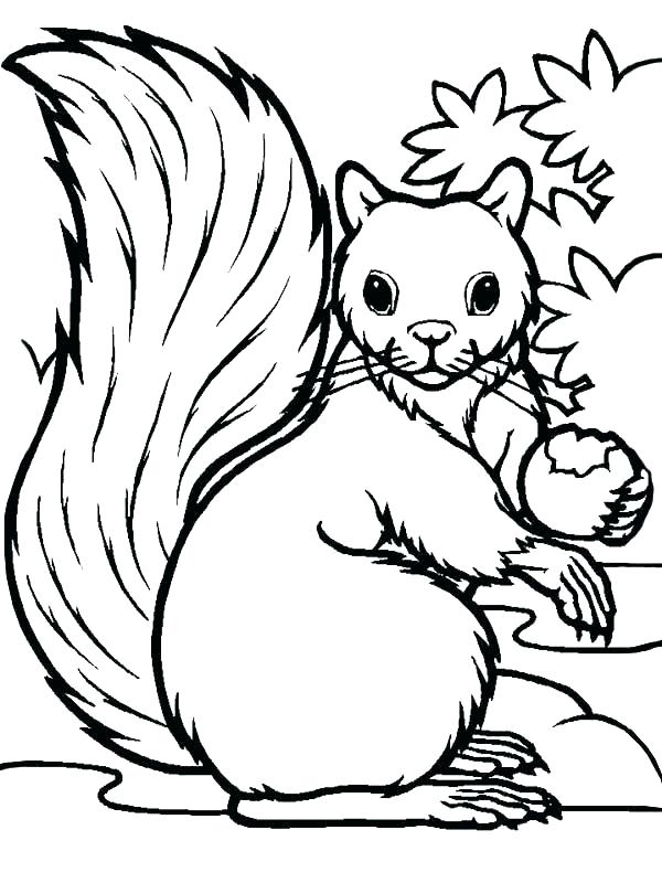 35 Cute Squirrels Coloring Pages Printable 32