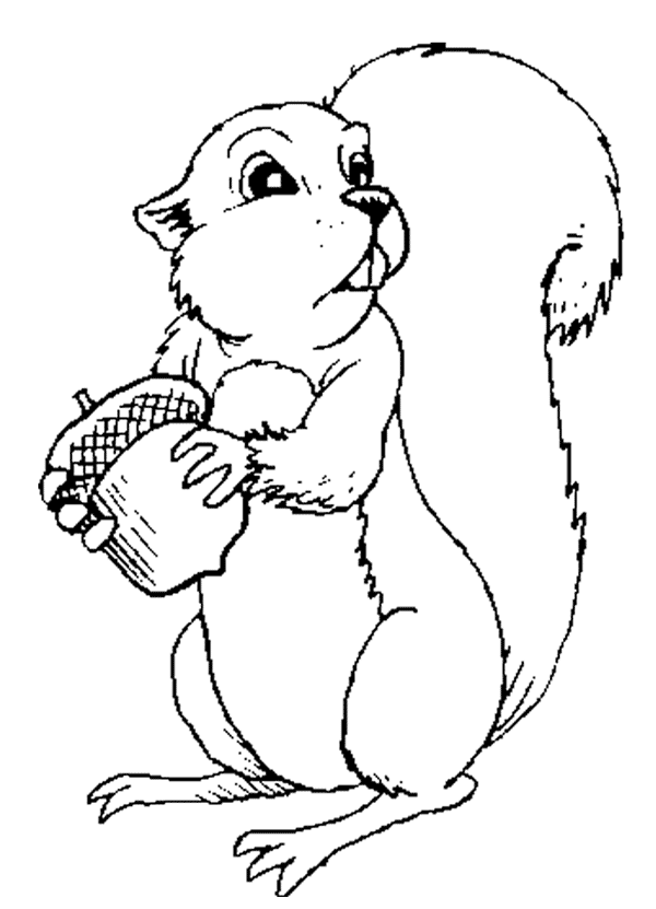 35 Cute Squirrels Coloring Pages Printable 33