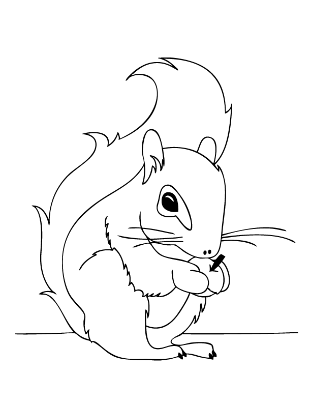 35 Cute Squirrels Coloring Pages Printable 35