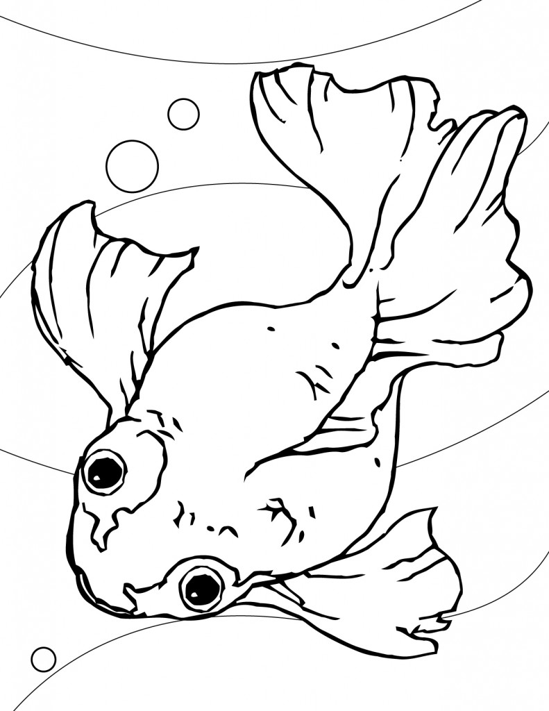 35 Goldfish Coloring Page Printable 1