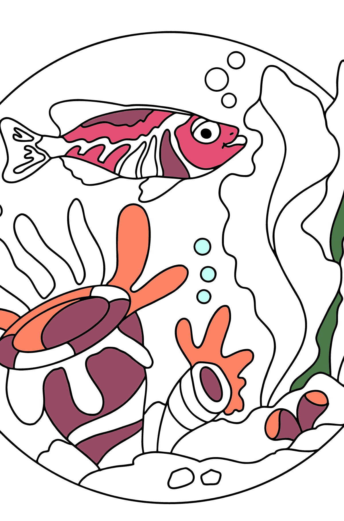 35 Goldfish Coloring Page Printable 13