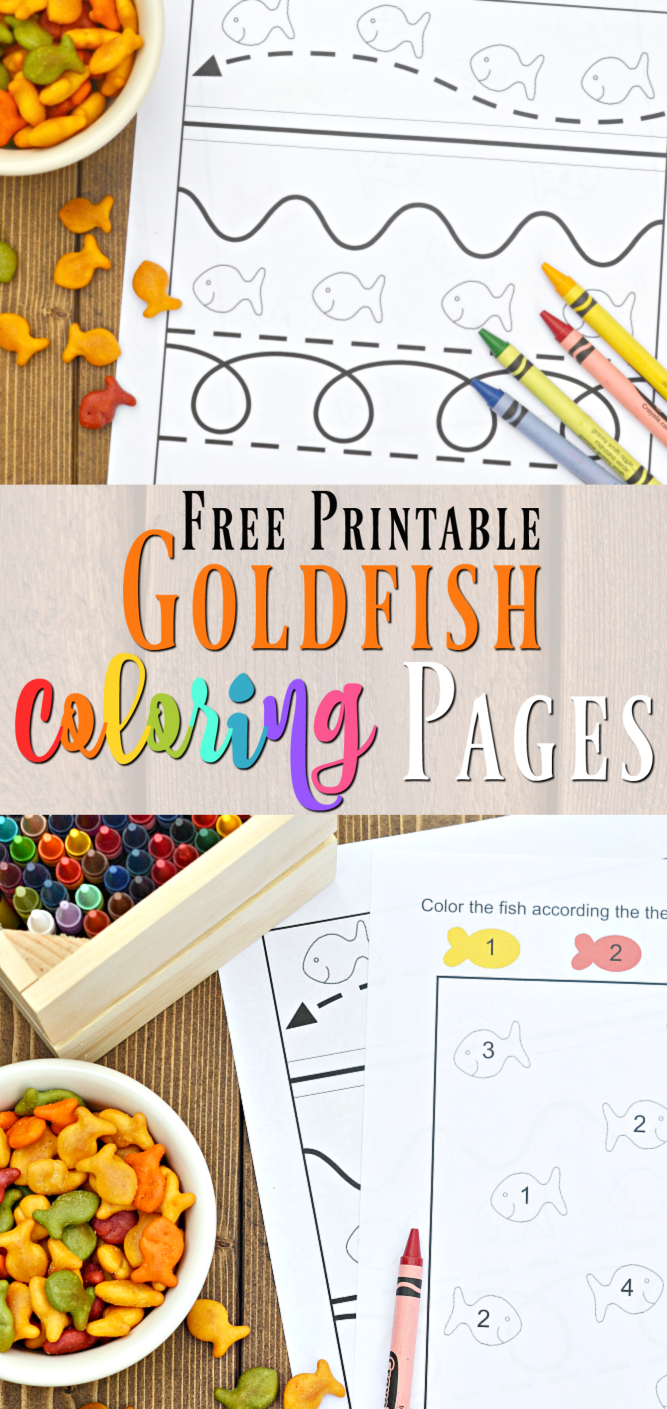 35 Goldfish Coloring Page Printable 18