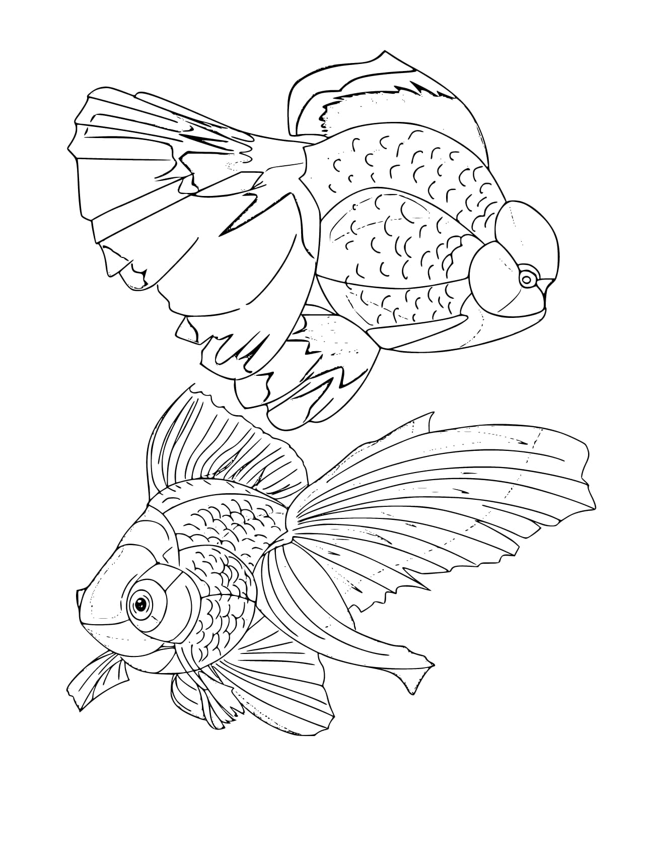 35 Goldfish Coloring Page Printable 24