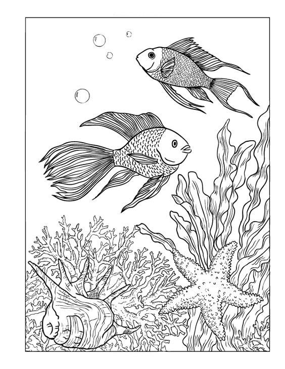 35 Goldfish Coloring Page Printable 3