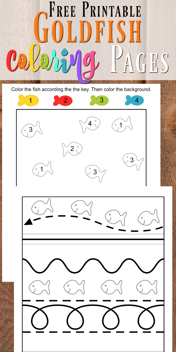 35 Goldfish Coloring Page Printable 35