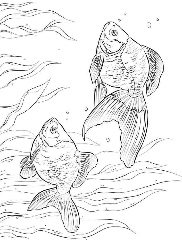 35 Goldfish Coloring Page Printable 6