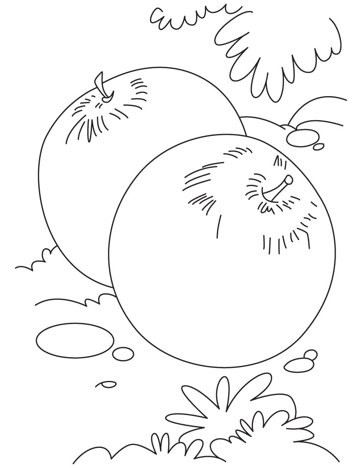 35 Sweet Plum Coloring Pages Printable 15