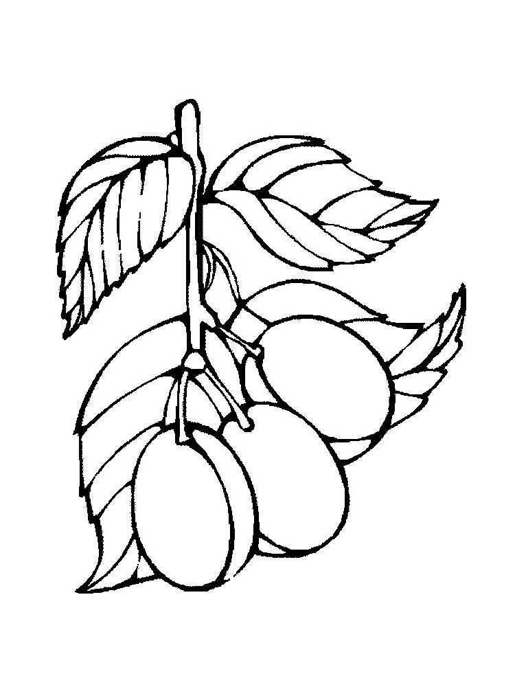 35 Sweet Plum Coloring Pages Printable 26