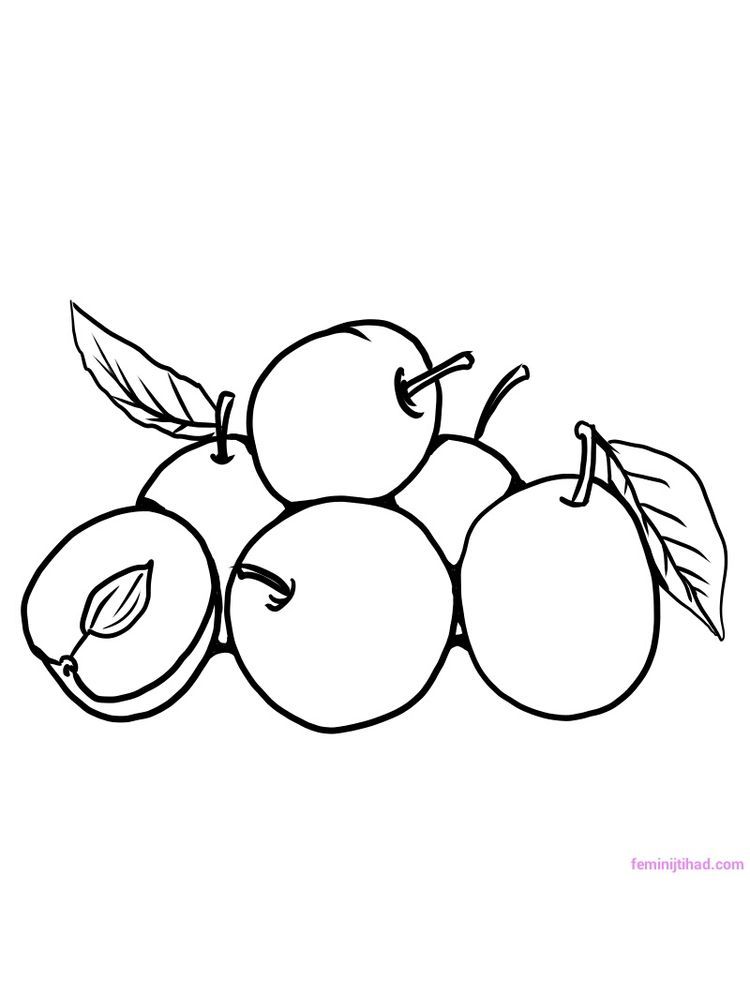 35 Sweet Plum Coloring Pages Printable 29