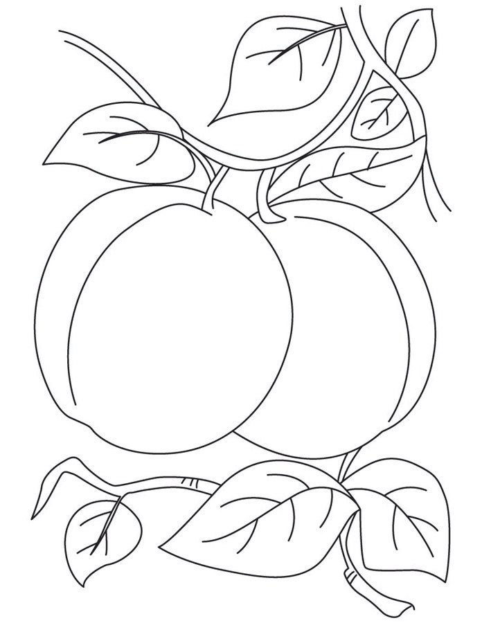 35 Sweet Plum Coloring Pages Printable 33