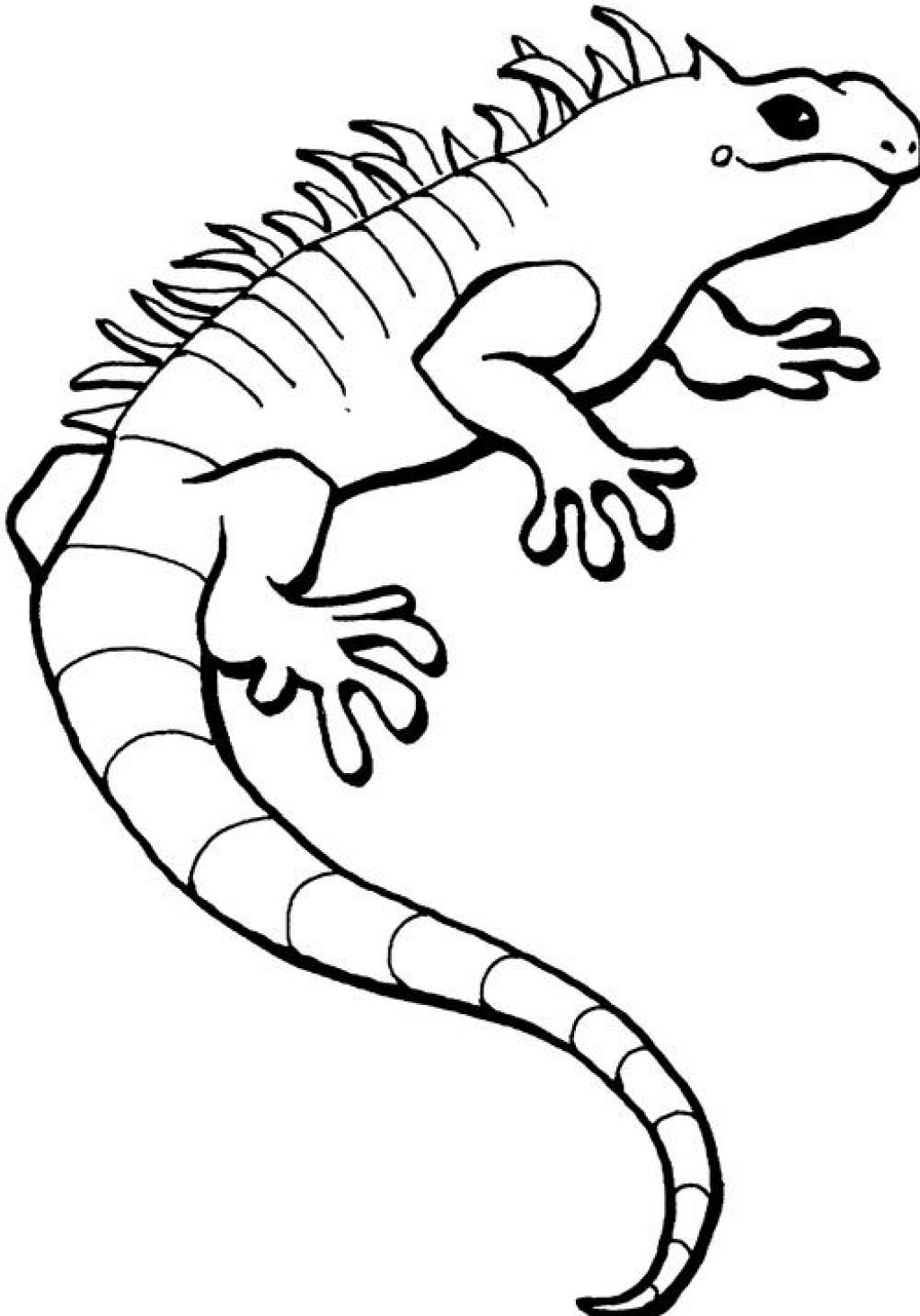 35 Vibrant Iguana Coloring Pages Printable 1