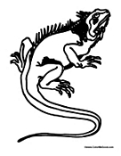 35 Vibrant Iguana Coloring Pages Printable 18