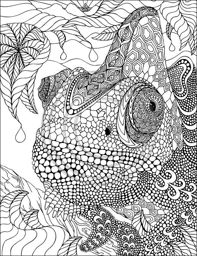 35 Vibrant Iguana Coloring Pages Printable 19