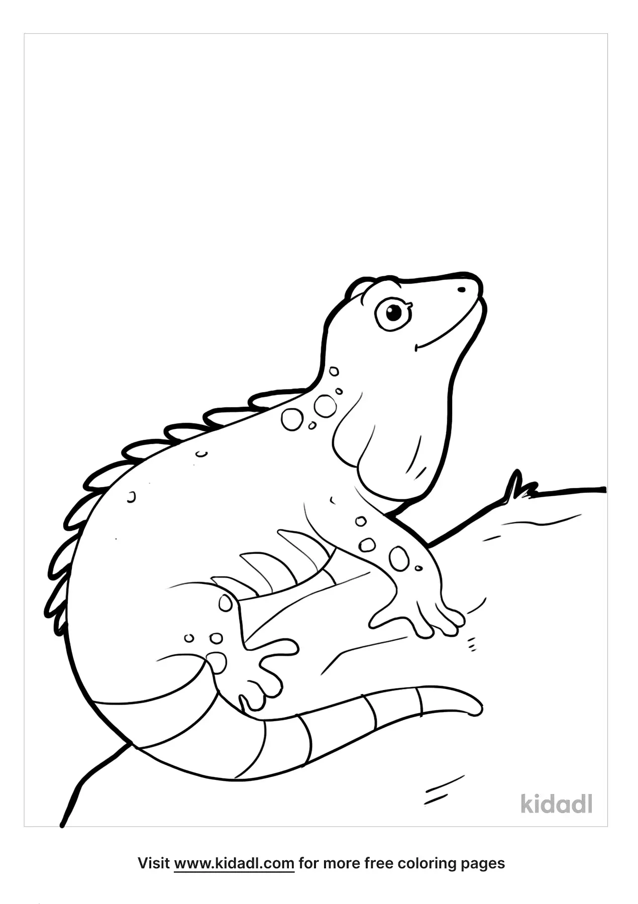 35 Vibrant Iguana Coloring Pages Printable 2