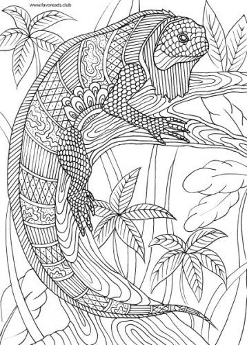 35 Vibrant Iguana Coloring Pages Printable 20