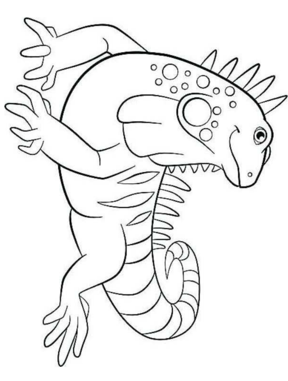 35 Vibrant Iguana Coloring Pages Printable 21