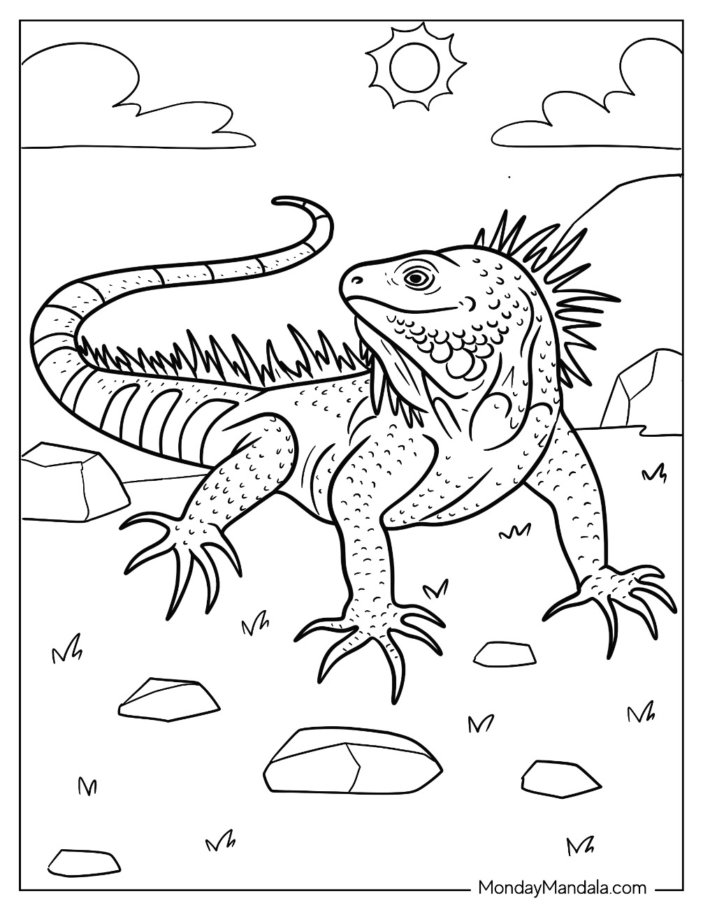 35 Vibrant Iguana Coloring Pages Printable 3