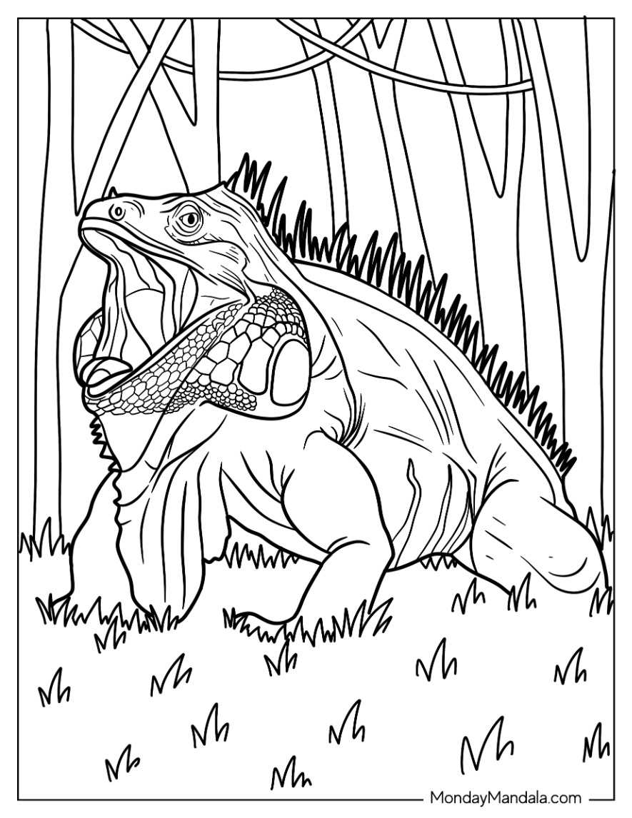 35 Vibrant Iguana Coloring Pages Printable 35