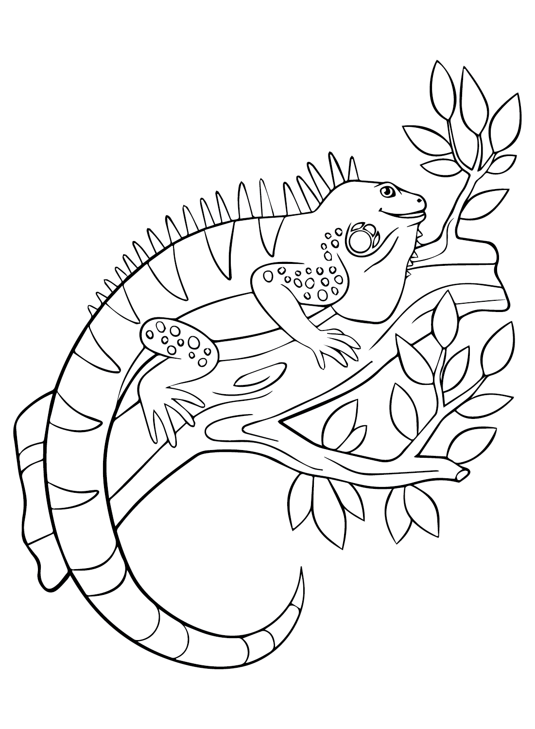 35 Vibrant Iguana Coloring Pages Printable 4