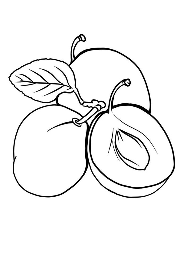 36 Juicy Plum Coloring Pages Printable 3