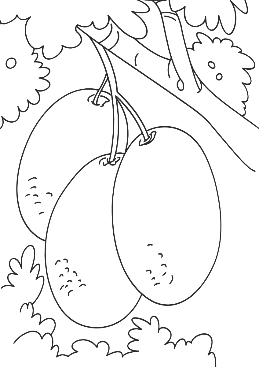 36 Juicy Plum Coloring Pages Printable 7