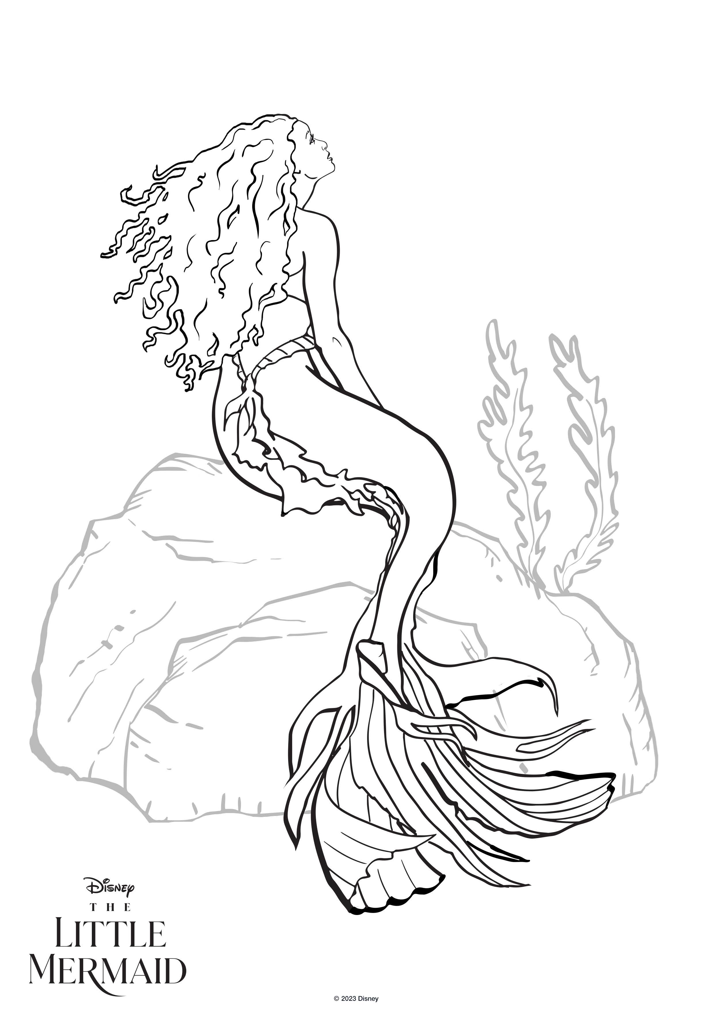 36 Magical The Little Mermaid Coloring Pages Free Printable 16