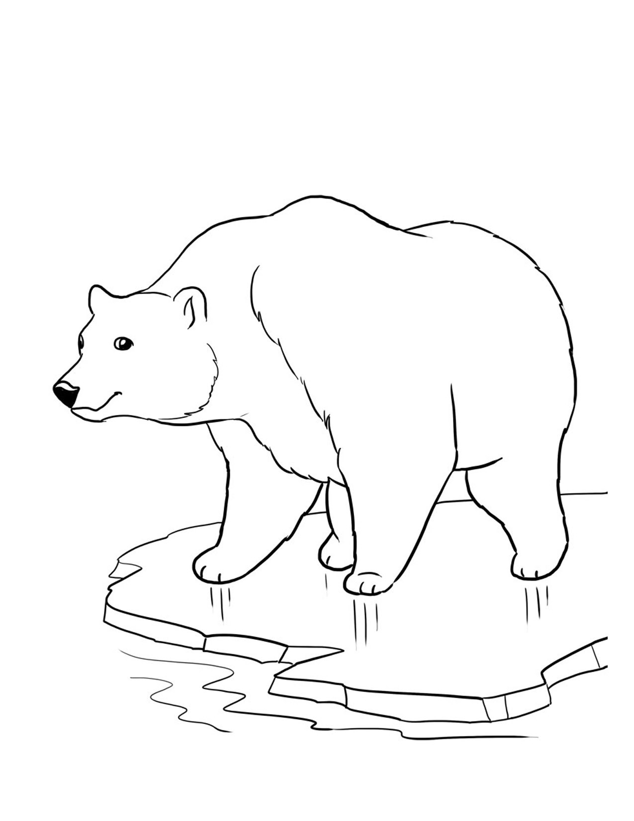 36 Polar Bear Coloring Pages PDF Printable 10