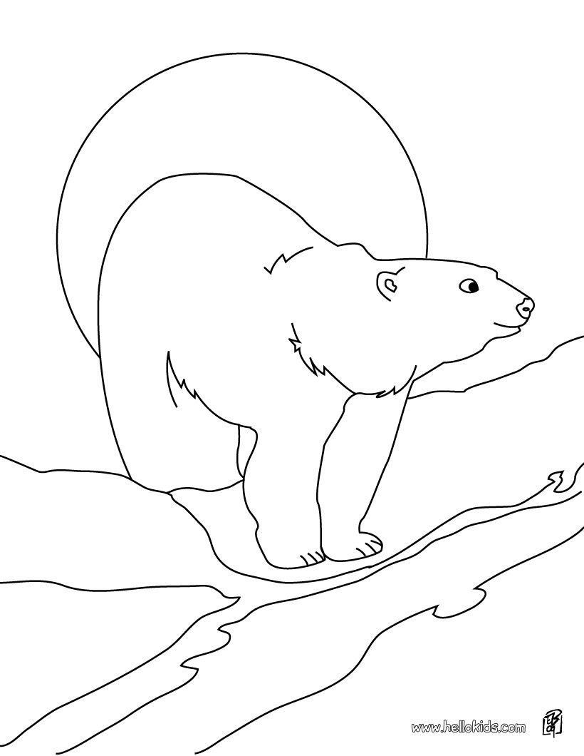 36 Polar Bear Coloring Pages PDF Printable 11