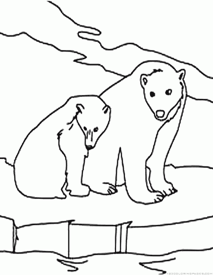 36 Polar Bear Coloring Pages PDF Printable 22