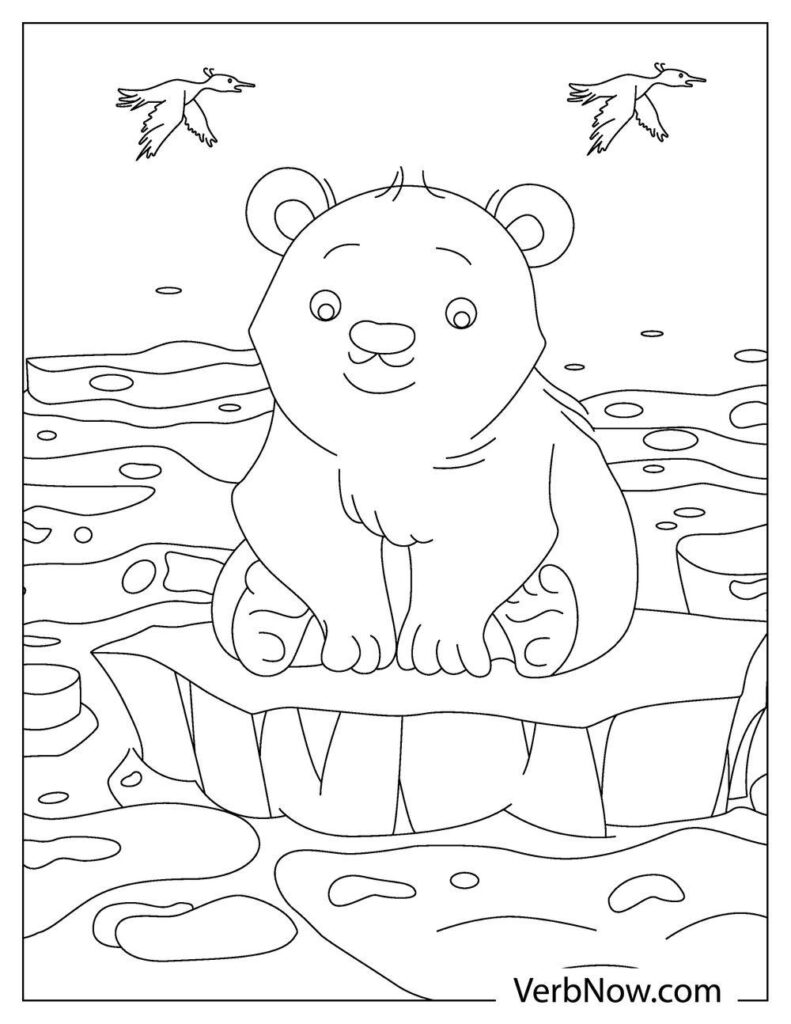 36 Polar Bear Coloring Pages PDF Printable 24