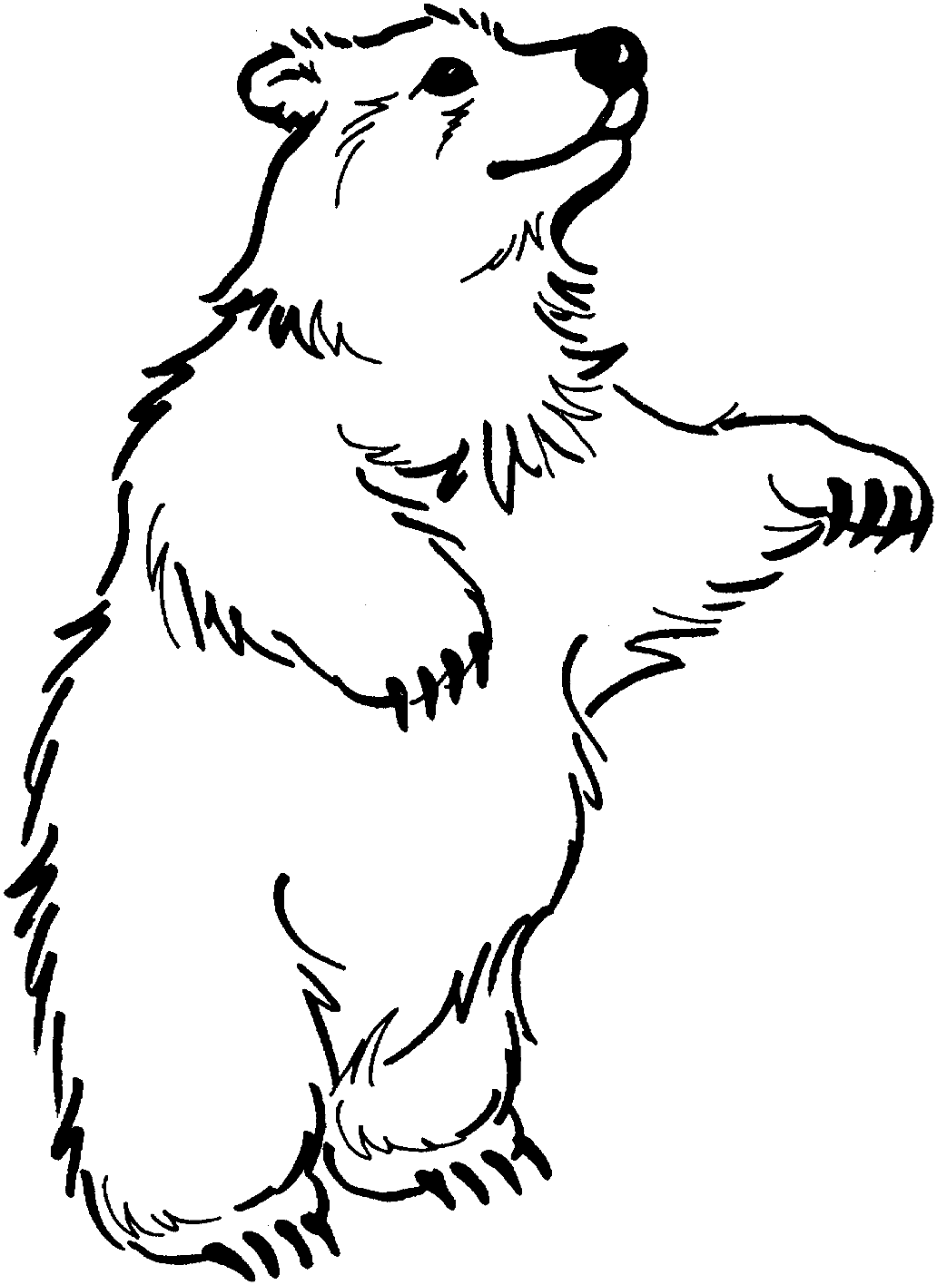 36 Polar Bear Coloring Pages PDF Printable 35