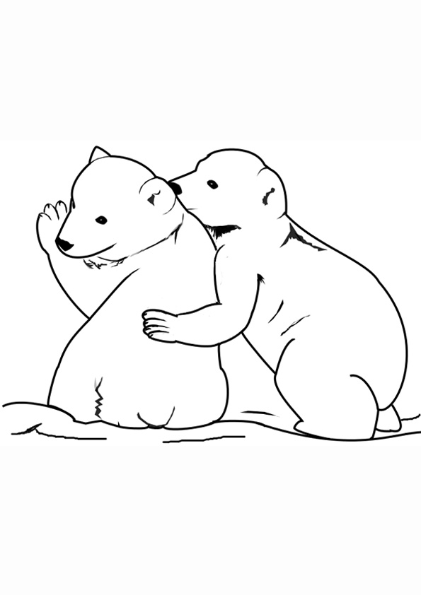 36 Polar Bear Coloring Pages PDF Printable 4