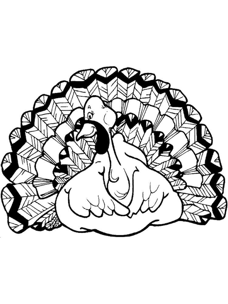 37 Fun Turkey Coloring Pages Printable 15