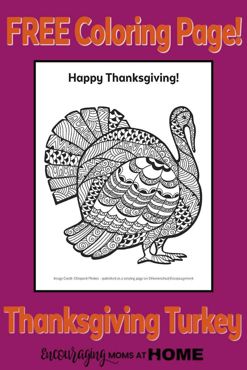 37 Fun Turkey Coloring Pages Printable 20