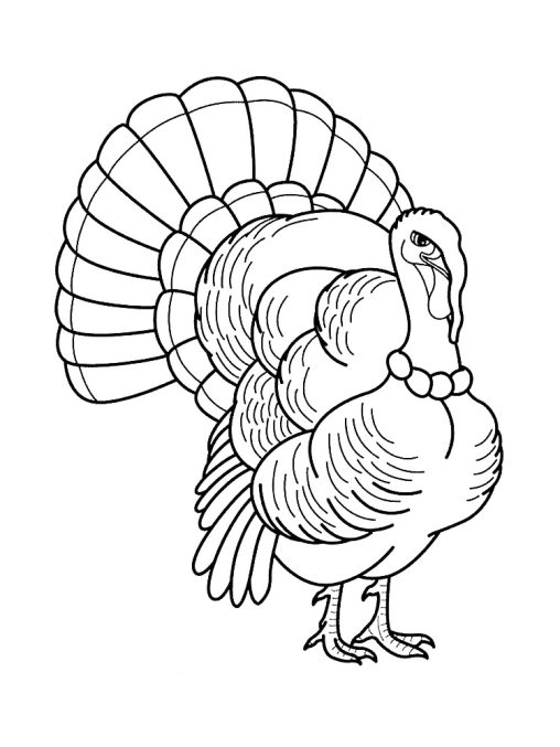 37 Fun Turkey Coloring Pages Printable 4