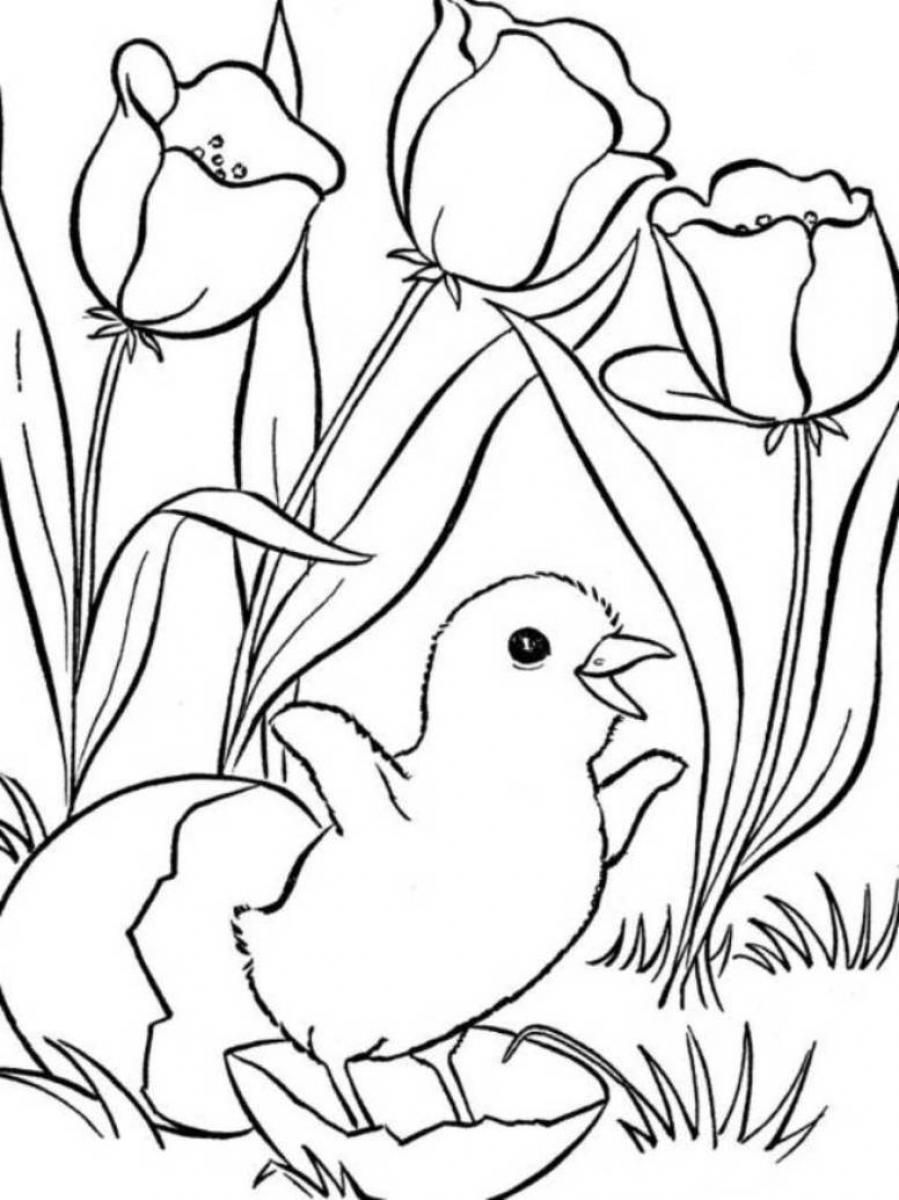 37 Vibrant Spring Coloring Pages Printable 18