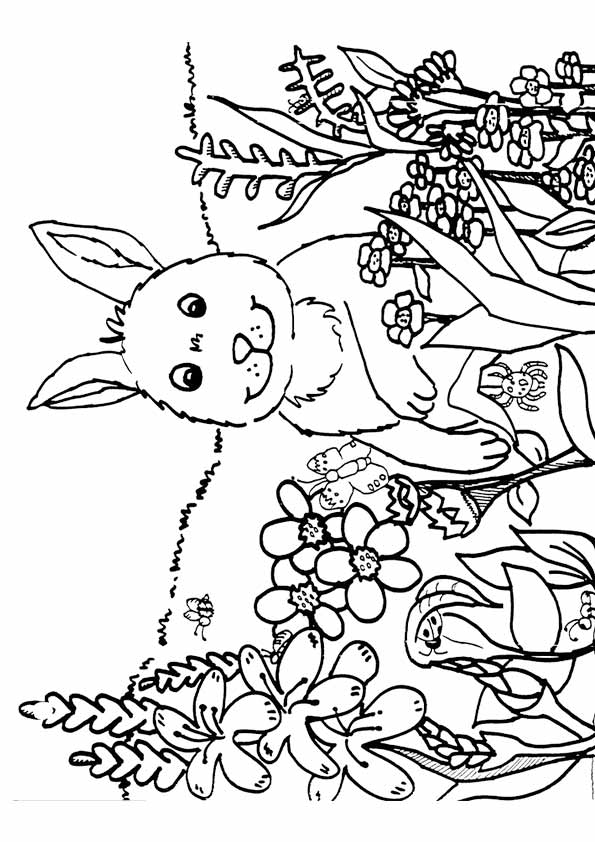 37 Vibrant Spring Coloring Pages Printable 3