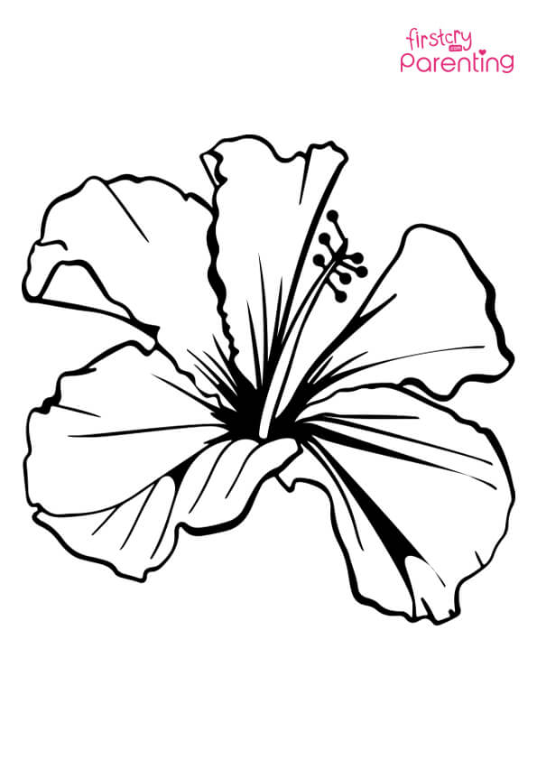 38 Hibiscus Coloring Pages for Kids Printable 1