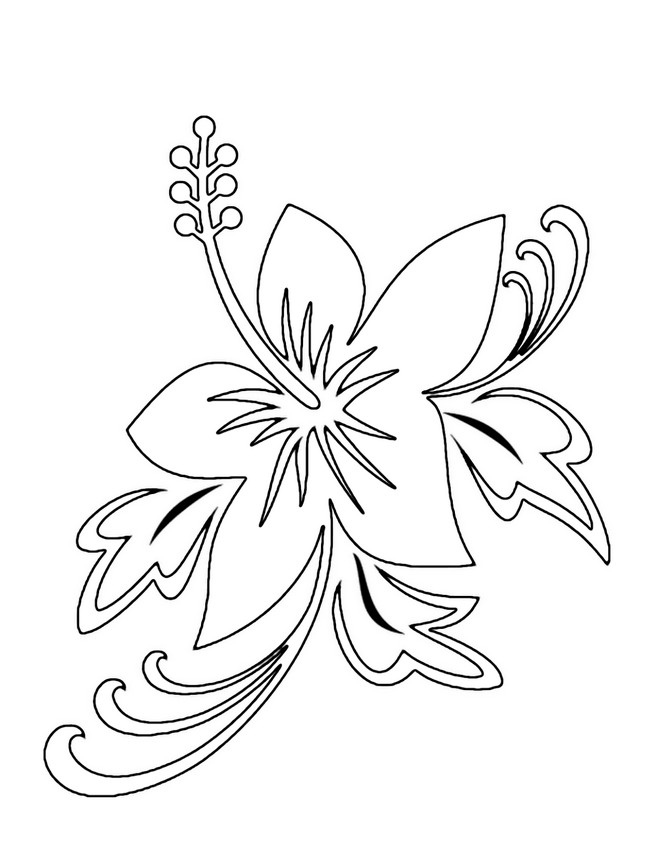 38 Hibiscus Coloring Pages for Kids Printable 16