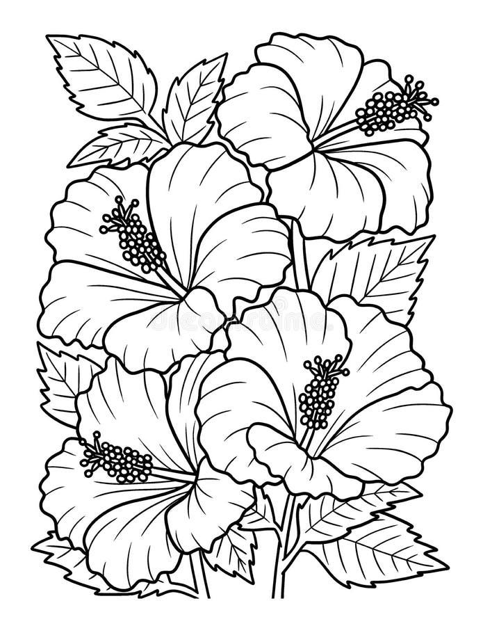 38 Hibiscus Coloring Pages for Kids Printable 17