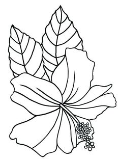 38 Hibiscus Coloring Pages for Kids Printable 19