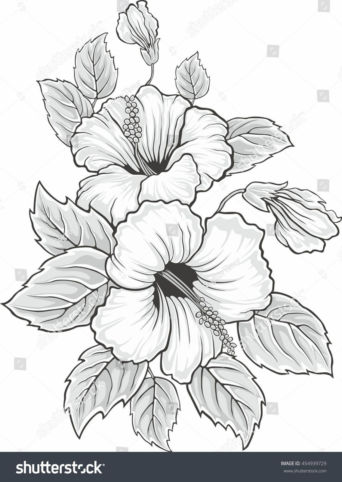 38 Hibiscus Coloring Pages for Kids Printable 20