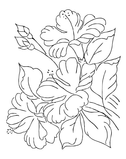 38 Hibiscus Coloring Pages for Kids Printable 25