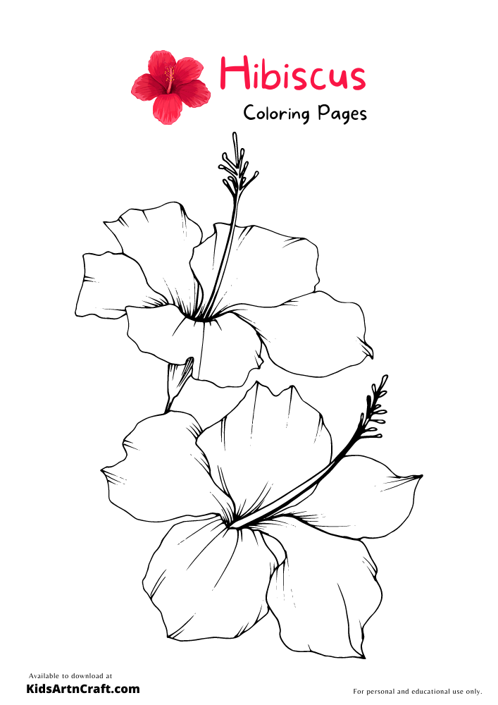 38 Hibiscus Coloring Pages for Kids Printable 26