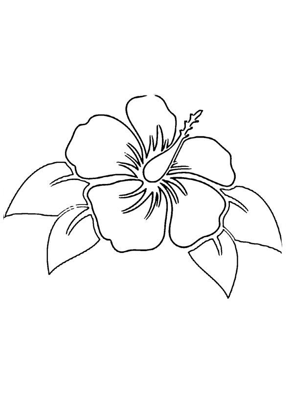 38 Hibiscus Coloring Pages for Kids Printable 27