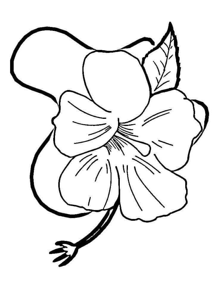 38 Hibiscus Coloring Pages for Kids Printable 29